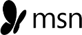msn logo